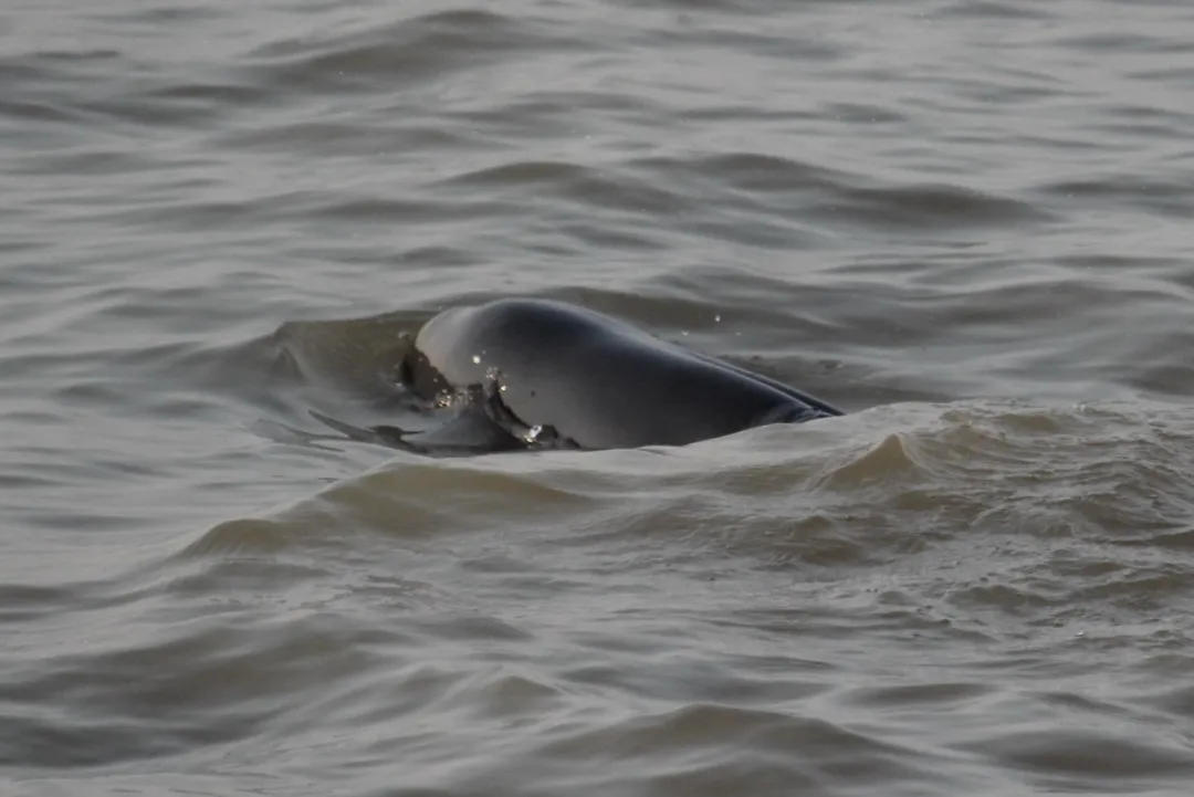 燃油车最新资讯-快科技--科技改变未来