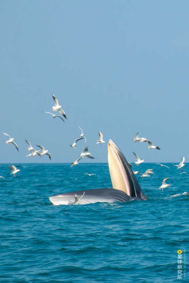【2018泰达论坛】欧阳明高：全球电动汽车技术路线演变及中国电动汽车技术路线的发展