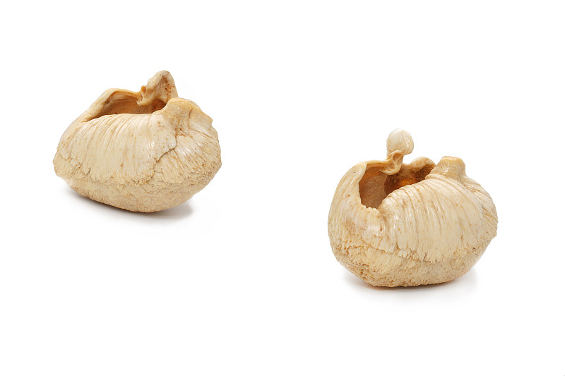 蓝色鲸鱼手链女夏轻奢小众设计个性简约气质闺蜜首饰冷淡风新款潮最新报价