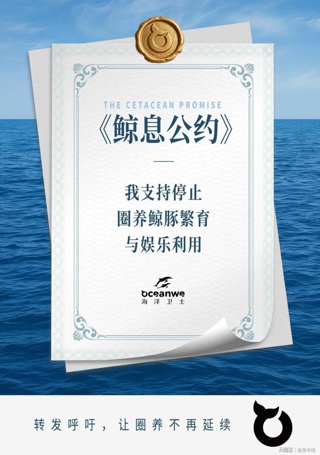 在世界地球日我们共同发起“鲸息公约”
