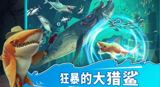 【柬华日报】中泰布氏鲸跨境研究协作对全球生物多样性治理有何启示？