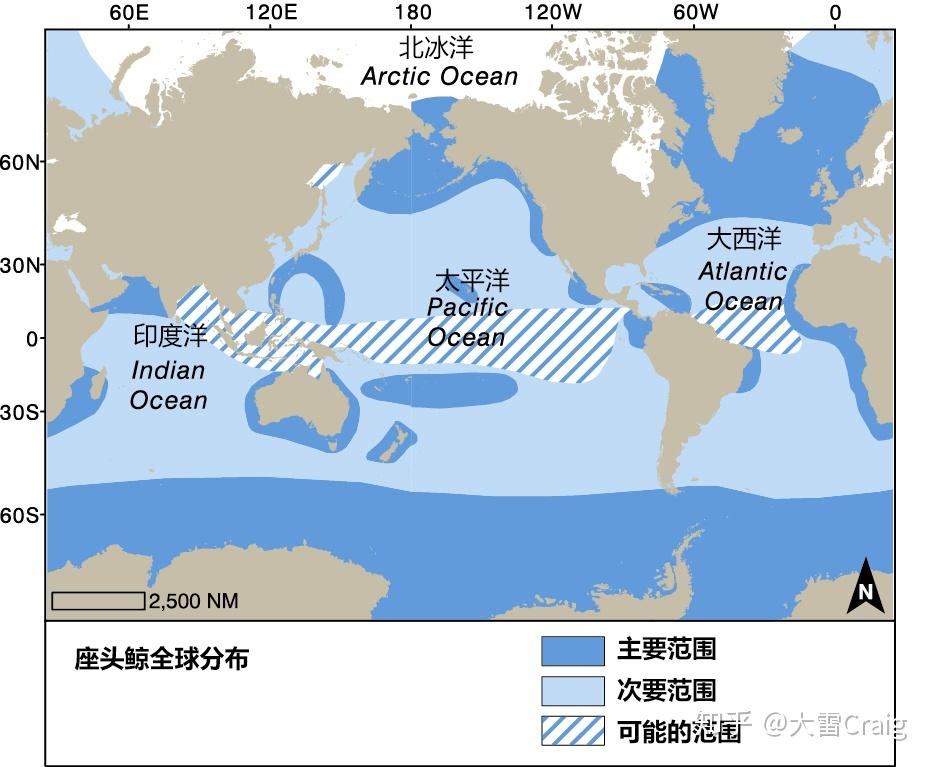 全球追鲸地图春季首发！快来围观海洋中最庞大的身影