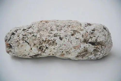 价值970万比黄金还贵抹香鲸粪便为啥卖这么高？它的作用是啥？