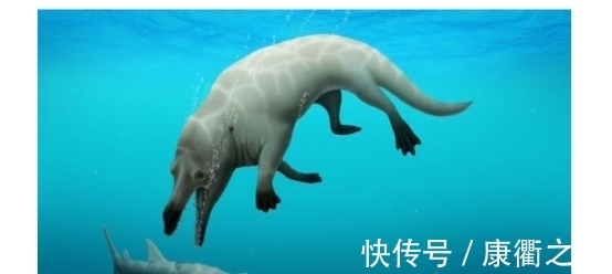 江豚在江城微笑：武汉以城市IP彰显生物多样性保护“硬核”答卷