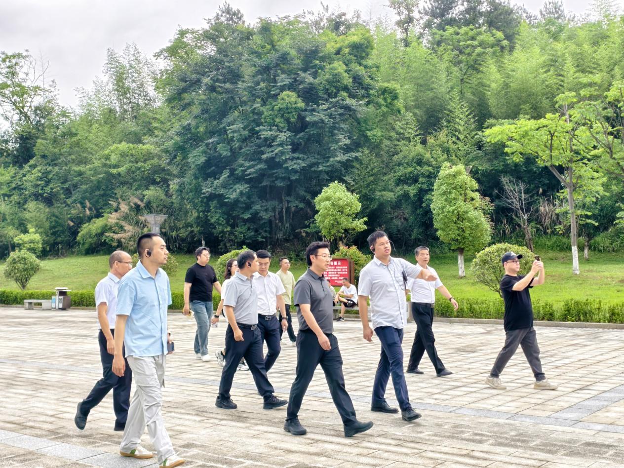 聚焦跨区域协同发展品牌传播总台调研组支招大张家界国际旅游区建设